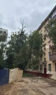 Жители Кузьминок требуют удалить сухие деревья во дворе