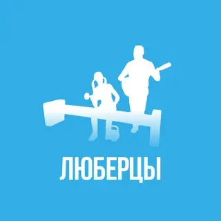 Кошка погибла после падения из окна в Люберцах