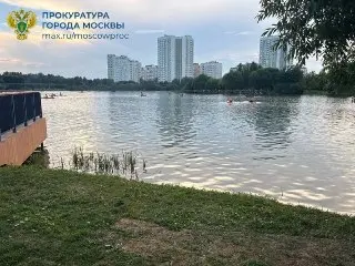 Тело 14-летнего подростка найдено в пруду: прокуратура проводит проверку
