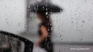 Ночью в Подмосковье ожидаются дожди и грозы
