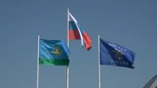 Волосово отпраздновало 100-летие ДОСААФ и День ВДВ с авиашоу