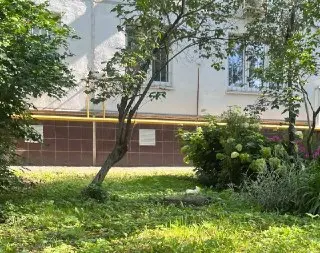 Жители Матвеевской улицы требуют уборки во дворе