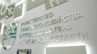 Аграрии Подмосковья: Вебинары по международному экспорту в августе