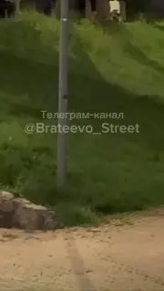 Конфликт у Братеевского пруда: драка с пострадавшим