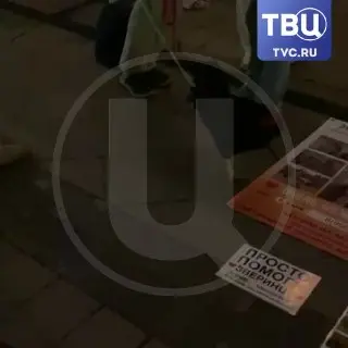 Курицы устроили вечернюю прогулку в центре Москвы перед рабочей неделей