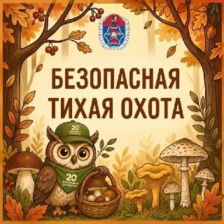 Как безопасно собирать грибы в разгар сезона: советы и предупреждения