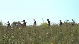 Ликвидация последствий химического разлива продолжается в Подмосковье