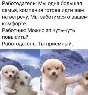 Исследование: Увольнения сотрудников связаны с руководством, а не зарплатой