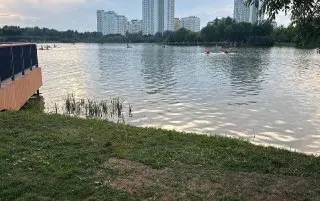 Трагедия в Москве: Подросток утонул в пруду во время купания