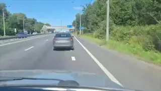 Лось попал в аварию на Ленинградском шоссе в Солнечногорске