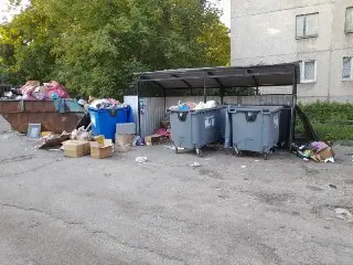 Проблема с мусором в городе: жители недовольны уборкой