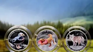 Новые памятные монеты: редкие виды животных на 2 рублях