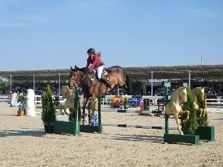 Финал Чемпионата России по конкуру: победители и яркие моменты