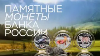 ЦБ России анонсировал выпуск памятных монет с редкими животными