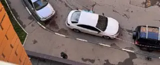 В Андреевке произошло убийство: неизвестный напал с ножом