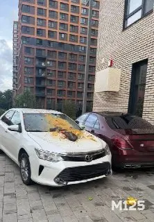 Сосед выбросил мусор из окна: жильцы ЖК требуют справедливости