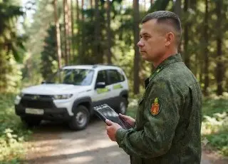 Штрафы за нарушения в лесах Подмосковья достигли 7,6 млн рублей
