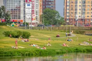 Четверг станет самым жарким днем недели в Московском регионе