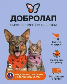 Стартовала 20-я благотворительная акция «Добролап» для животных