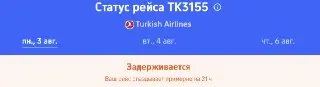 Перенос рейса Turkish Airlines из Внуково в Бодрум: последние новости