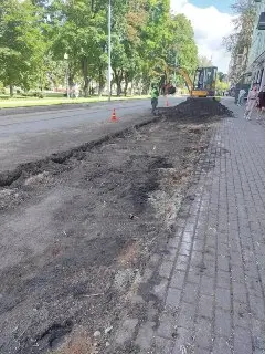 Вырубка деревьев под платные парковки вызвала общественное недовольство