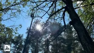 Алексей Белкин: Подольчанин завоевал бронзу на всероссийском фотоконкурсе