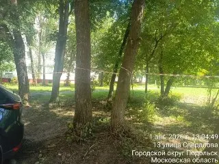 Опасное Дерево Во Дворе Оградят: Работы Завершатся До 5 Августа