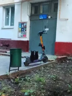 Опасность езды вдвоем на самокате: что говорит закон?